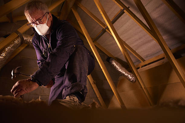 Best Commercial Insulation in Dyersville, IA