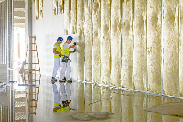 Best Specialized Insulation Services in Dyersville, IA